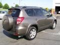 2010 Pyrite Metallic Toyota RAV4 Limited  photo #4