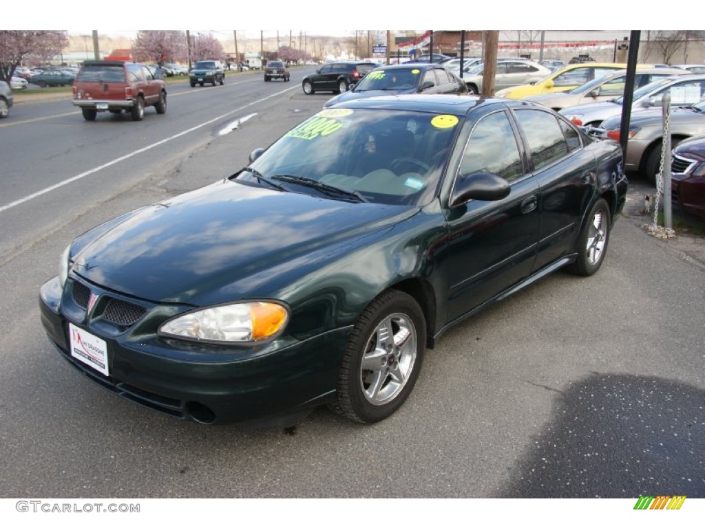 2003 Grand Am SE Sedan - Polo Green Metallic / Dark Taupe photo #1