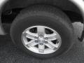 Pure Silver Metallic - Savana Van LS 1500 Passenger Photo No. 14