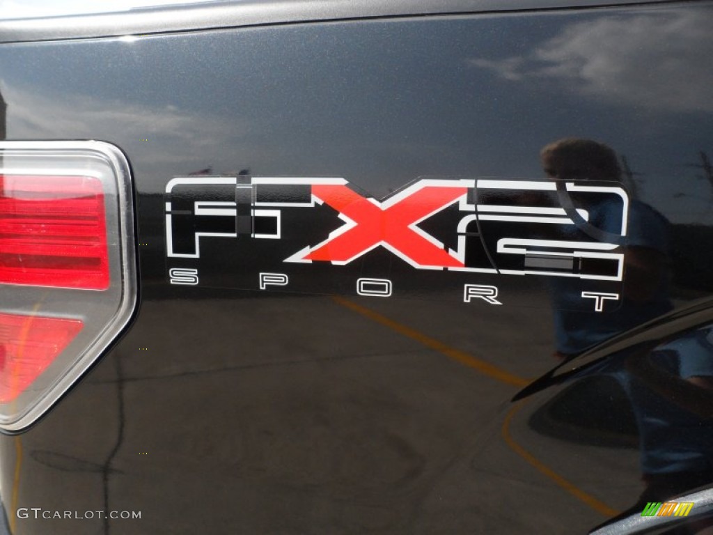 2010 F150 FX2 SuperCrew - Tuxedo Black / Black photo #19