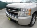 2007 Silver Birch Metallic Chevrolet Silverado 1500 LS Crew Cab  photo #11