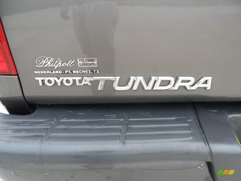 2006 Tundra Regular Cab - Phantom Gray Pearl / Taupe photo #16