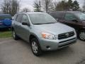 Everglade Metallic - RAV4  Photo No. 1