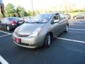 Driftwood Pearl - Prius Hybrid Photo No. 3