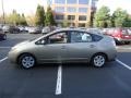 Driftwood Pearl - Prius Hybrid Photo No. 4