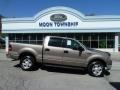 2004 Arizona Beige Metallic Ford F150 XLT SuperCrew 4x4  photo #1