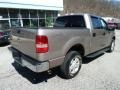 2004 Arizona Beige Metallic Ford F150 XLT SuperCrew 4x4  photo #2