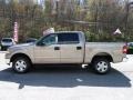 2004 Arizona Beige Metallic Ford F150 XLT SuperCrew 4x4  photo #5