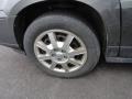 Platinum Metallic - Rendezvous CX AWD Photo No. 5