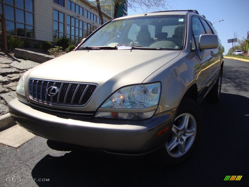 2001 RX 300 AWD - Burnished Gold Metallic / Ivory photo #1