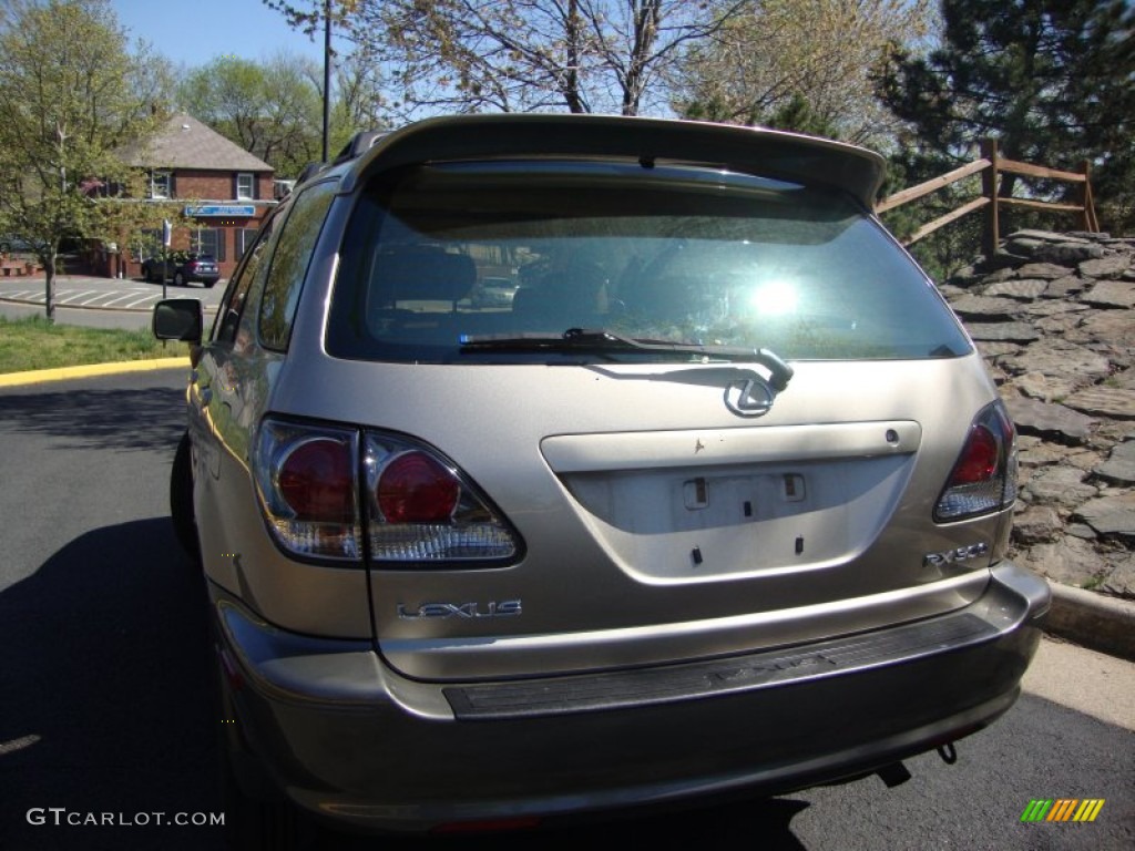 2001 RX 300 AWD - Burnished Gold Metallic / Ivory photo #6