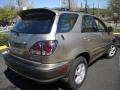 2001 Burnished Gold Metallic Lexus RX 300 AWD  photo #10