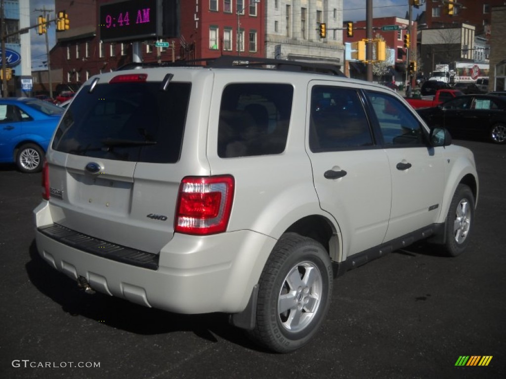 Light Sage Metallic 2008 Ford Escape XLT V6 4WD Exterior Photo #63241522