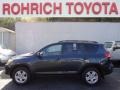Black Forest Pearl - RAV4 4WD Photo No. 1