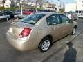Golden Cashmere - ION 2 Sedan Photo No. 4