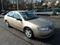 Golden Cashmere - ION 2 Sedan Photo No. 6