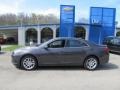 Taupe Gray Metallic - Malibu ECO Photo No. 2