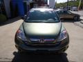 2009 Green Tea Metallic Honda CR-V EX 4WD  photo #8