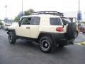 2010 Sandstorm Toyota FJ Cruiser Trail Teams Special Edition 4WD  photo #5