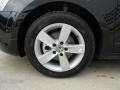 Black - Jetta TDI Sedan Photo No. 9