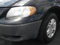 2006 Brilliant Black Dodge Caravan SE  photo #4