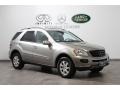 Pewter Metallic - ML 350 4Matic Photo No. 1