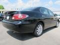Black Onyx - ES 300 Photo No. 3