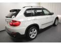 Alpine White - X5 xDrive30i Photo No. 13