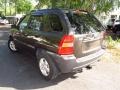 Smokey Brown - Sportage LX V6 Photo No. 3