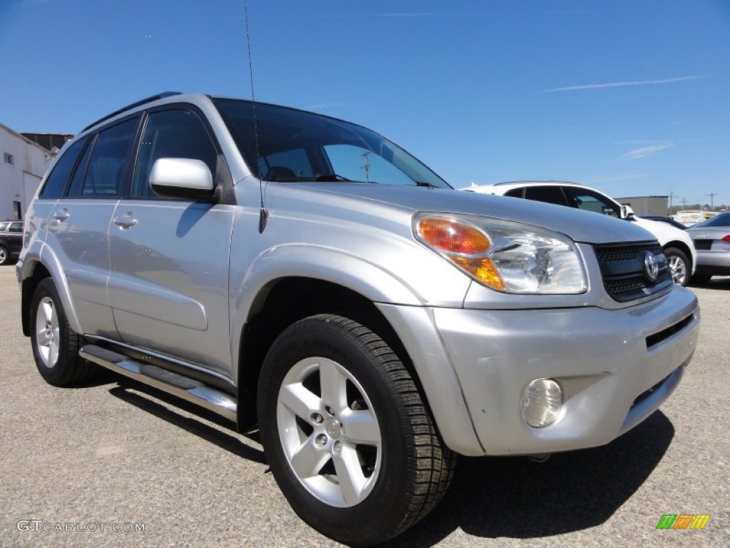 2005 RAV4 4WD - Titanium Metallic / Dark Charcoal photo #6