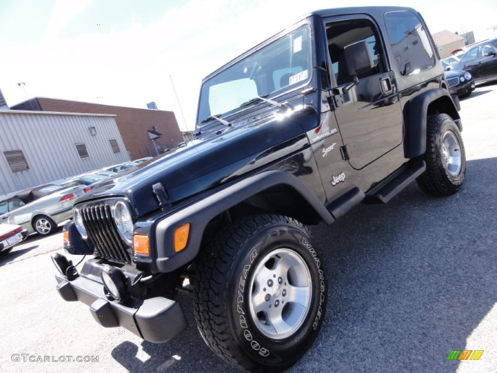 2002 Wrangler Sport 4x4 - Black / Agate Black photo #3