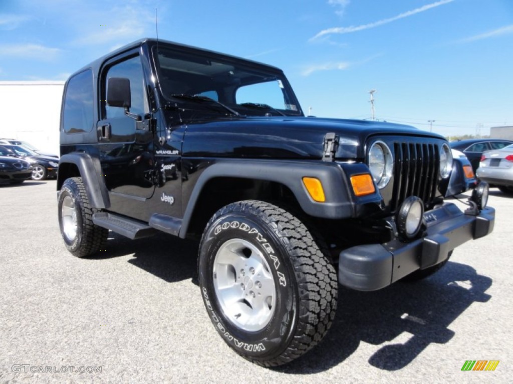 2002 Wrangler Sport 4x4 - Black / Agate Black photo #6