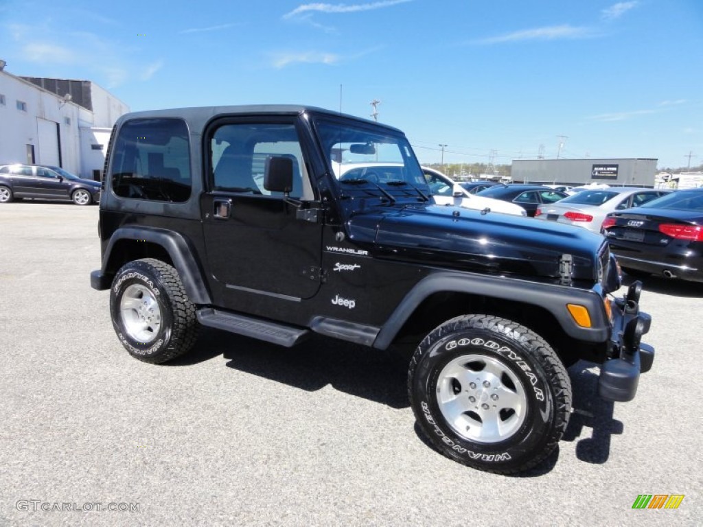 2002 Wrangler Sport 4x4 - Black / Agate Black photo #7