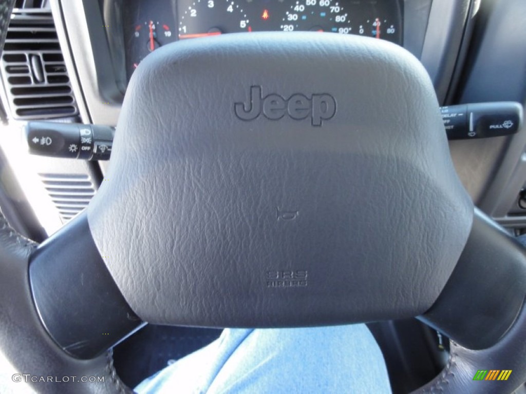 2002 Wrangler Sport 4x4 - Black / Agate Black photo #40