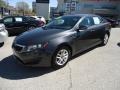 Platinum Graphite - Optima LX Photo No. 2