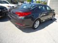 Platinum Graphite - Optima LX Photo No. 6