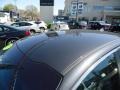 Platinum Graphite - Optima LX Photo No. 43