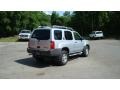 Silver Ice Metallic - Xterra XE V6 Photo No. 3