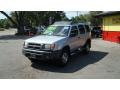 Silver Ice Metallic - Xterra XE V6 Photo No. 8