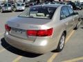Camel Pearl - Sonata GLS Photo No. 2