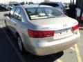 Camel Pearl - Sonata GLS Photo No. 7