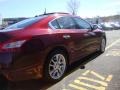 Tuscan Sun Metallic - Maxima 3.5 SV Photo No. 8