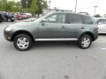 Reed Green Metallic - Touareg V6 Photo No. 2