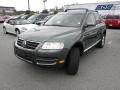 Reed Green Metallic - Touareg V6 Photo No. 20