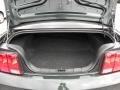 Dark Charcoal Trunk Photo for 2009 Ford Mustang #63302693