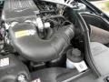 Dark Highland Green Metallic - Mustang Bullitt Coupe Photo No. 20
