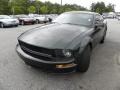 2009 Dark Highland Green Metallic Ford Mustang Bullitt Coupe  photo #21