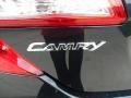 Cosmic Gray Mica - Camry LE Photo No. 15