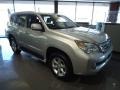 Tungsten Silver Pearl - GX 460 Photo No. 7