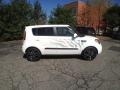 2011 Clear White/Grey Graphics Kia Soul White Tiger Special Edition  photo #9